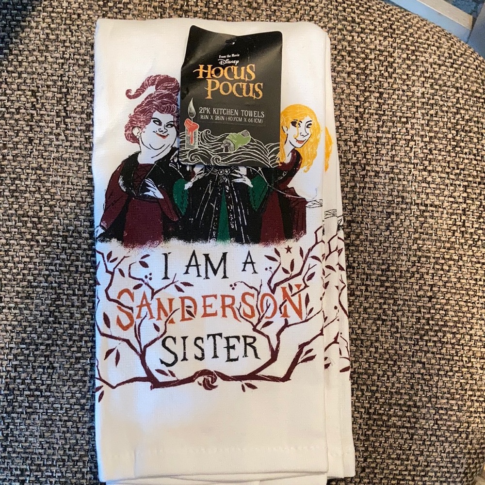Hocus pocus set of two dish towels NWT